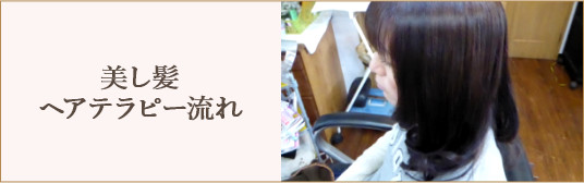 美し髪
ヘアテラピー流れ