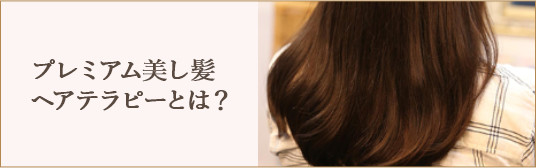 プレミアム美し髪ヘアテラピーとは？