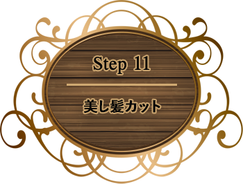 step11